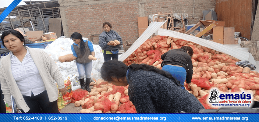 Emaús Madre teresa de Calcuta Donación Vegetales