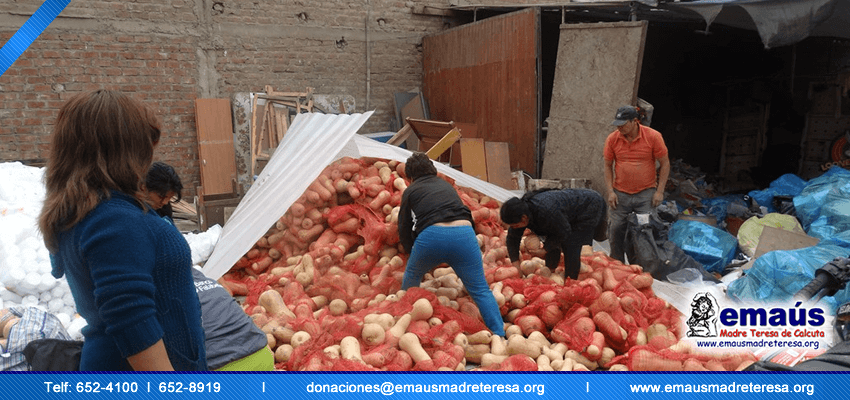 Emaús Madre teresa de Calcuta Donación Vegetales
