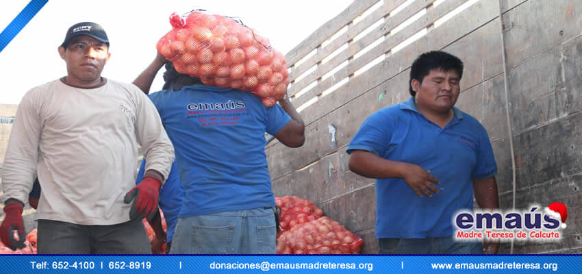Emaús Madre teresa de Calcuta Donación cebollas
