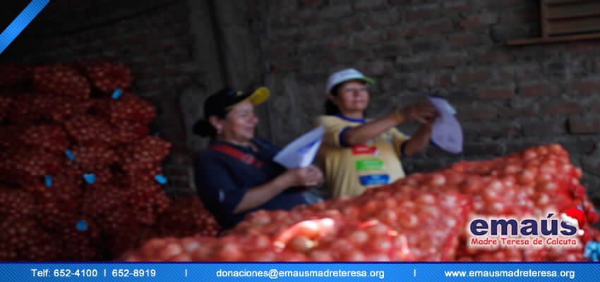 Emaús Madre teresa de Calcuta Donación cebollas