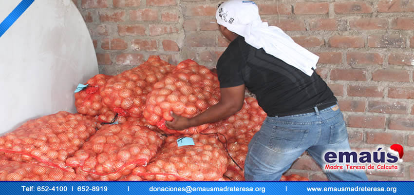 Emaús Madre teresa de Calcuta Donación cebollas
