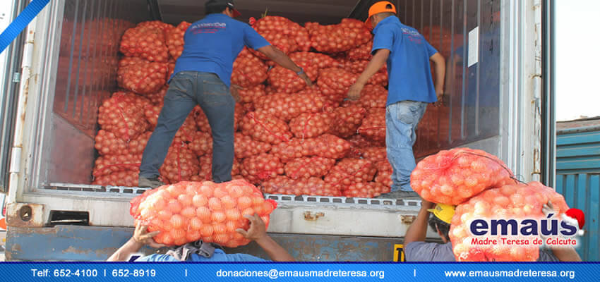 Emaús Madre teresa de Calcuta Donación cebollas