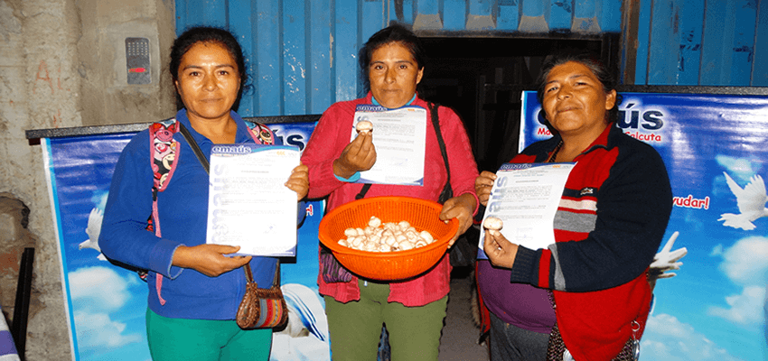 Emaús Madre teresa de Calcuta Donación de champiñones