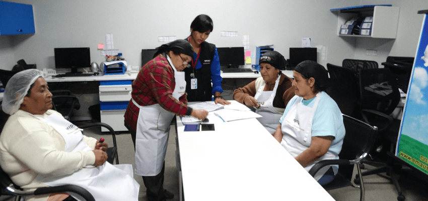 Emaús Madre teresa de Calcuta Donación de champiñones
