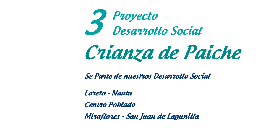 Reciclar Papel en Emaús Madre Teresa de Calcuta